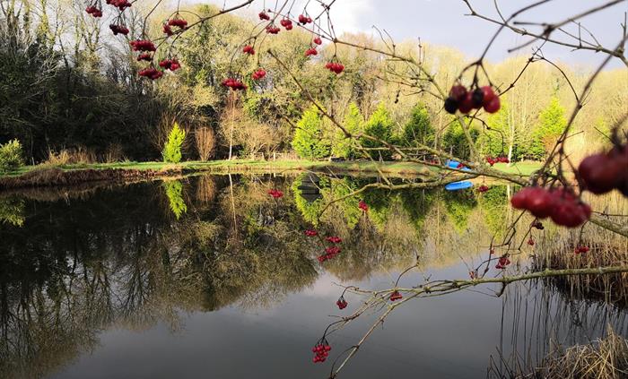 9 acres of dog friendly grounds, lake, stream and woodland, plus garden area.